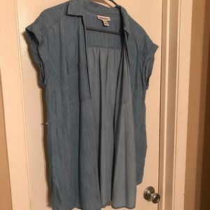 Blue Jean maternity button down